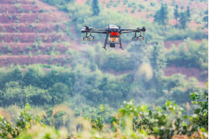 OEŷ��|�ٷ���վ