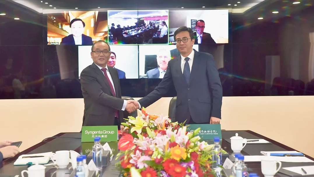 OEŷ��|�ٷ���վ