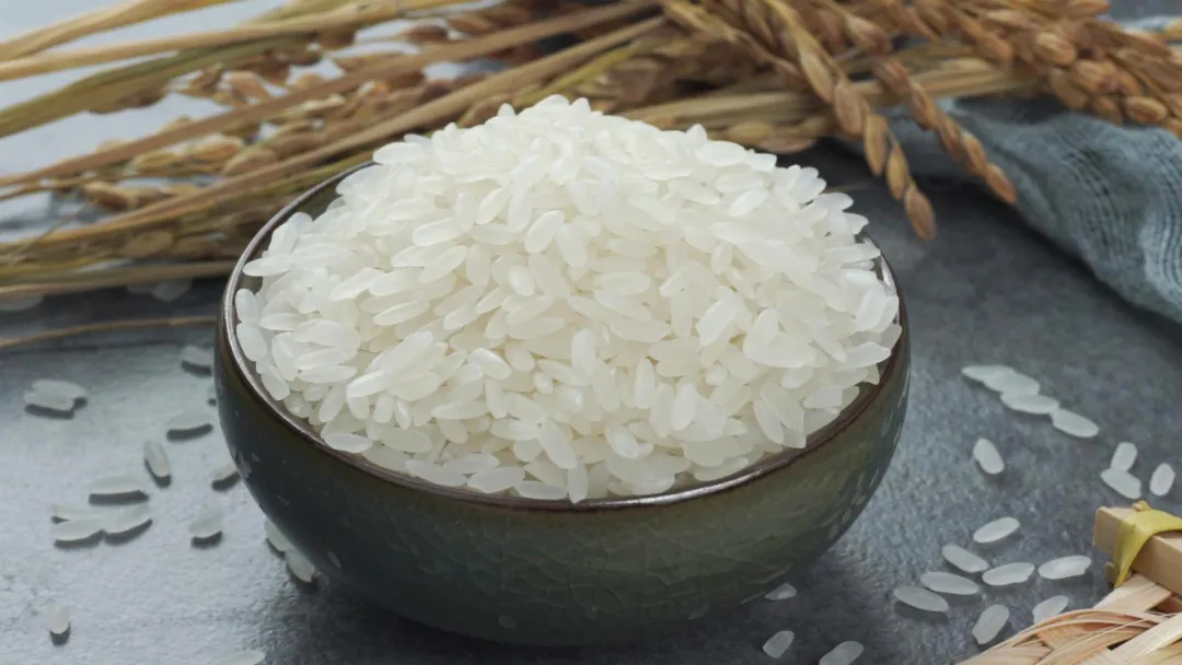 OEŷ��|�ٷ���վ