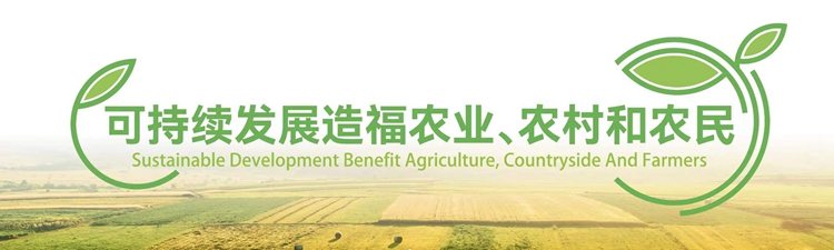 OEŷ��|�ٷ���վ