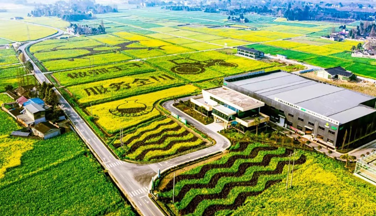 OEŷ��|�ٷ���վ