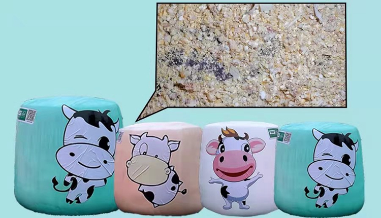 OEŷ��|�ٷ���վ