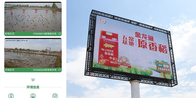 OEŷ��|�ٷ���վ