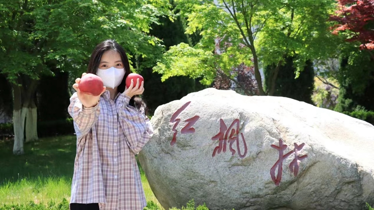 OEŷ��|�ٷ���վ