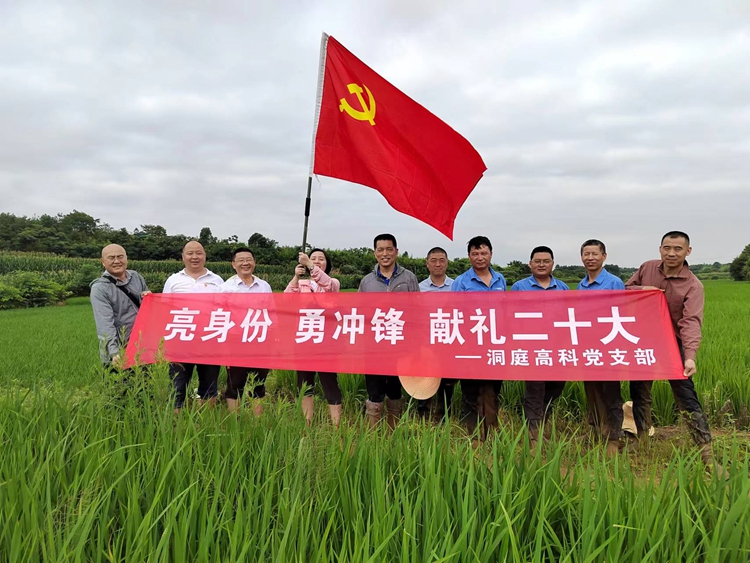 OEŷ��|�ٷ���վ