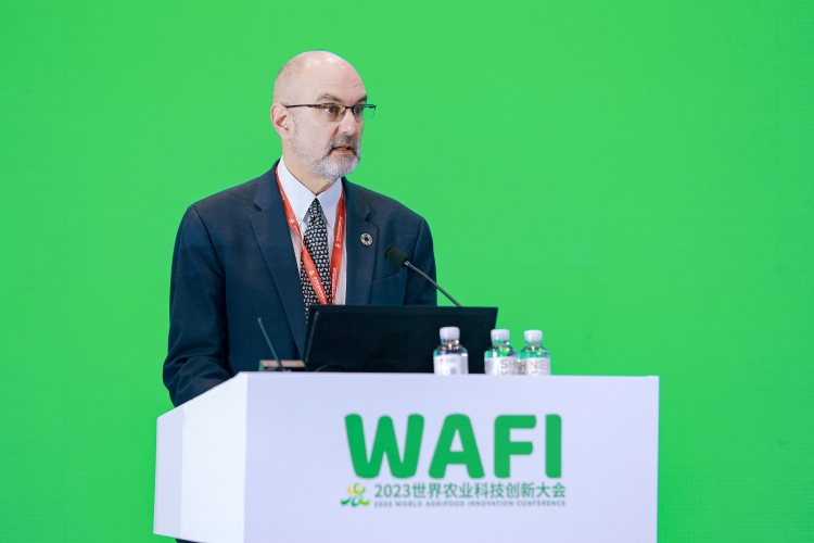 OEŷ��|�ٷ���վ