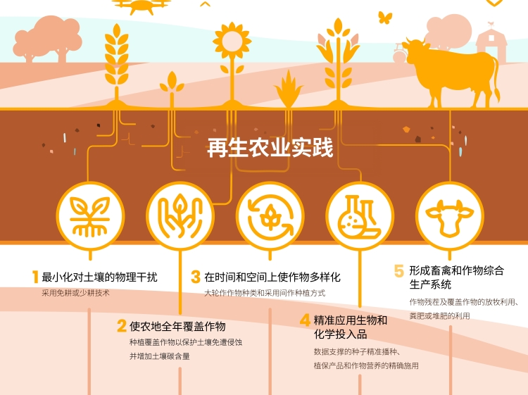 OEŷ��|�ٷ���վ