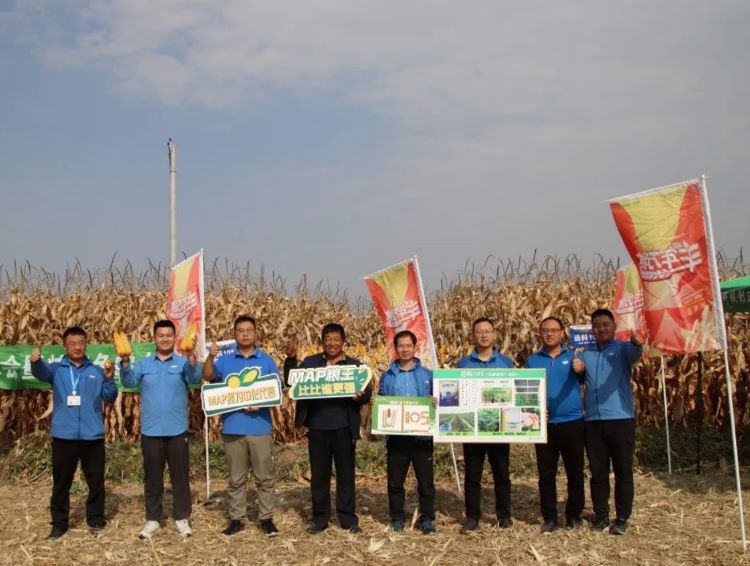 OEŷ��|�ٷ���վ