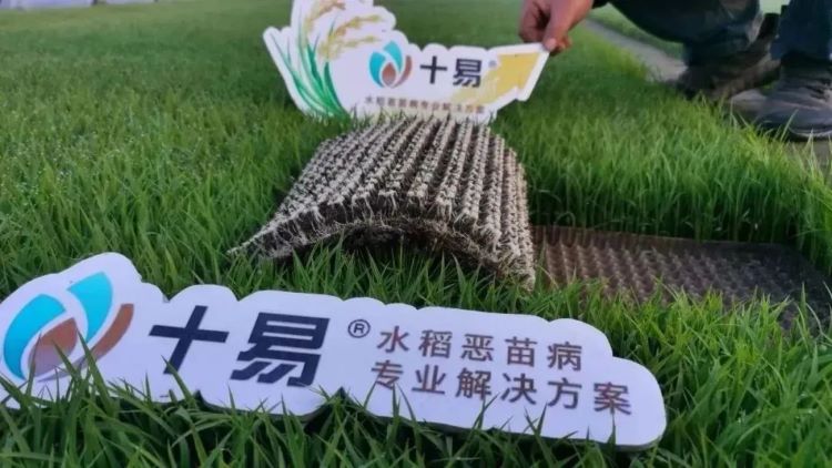 OEŷ��|�ٷ���վ