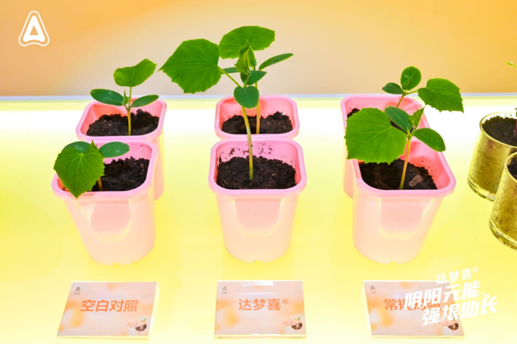 OEŷ��|�ٷ���վ