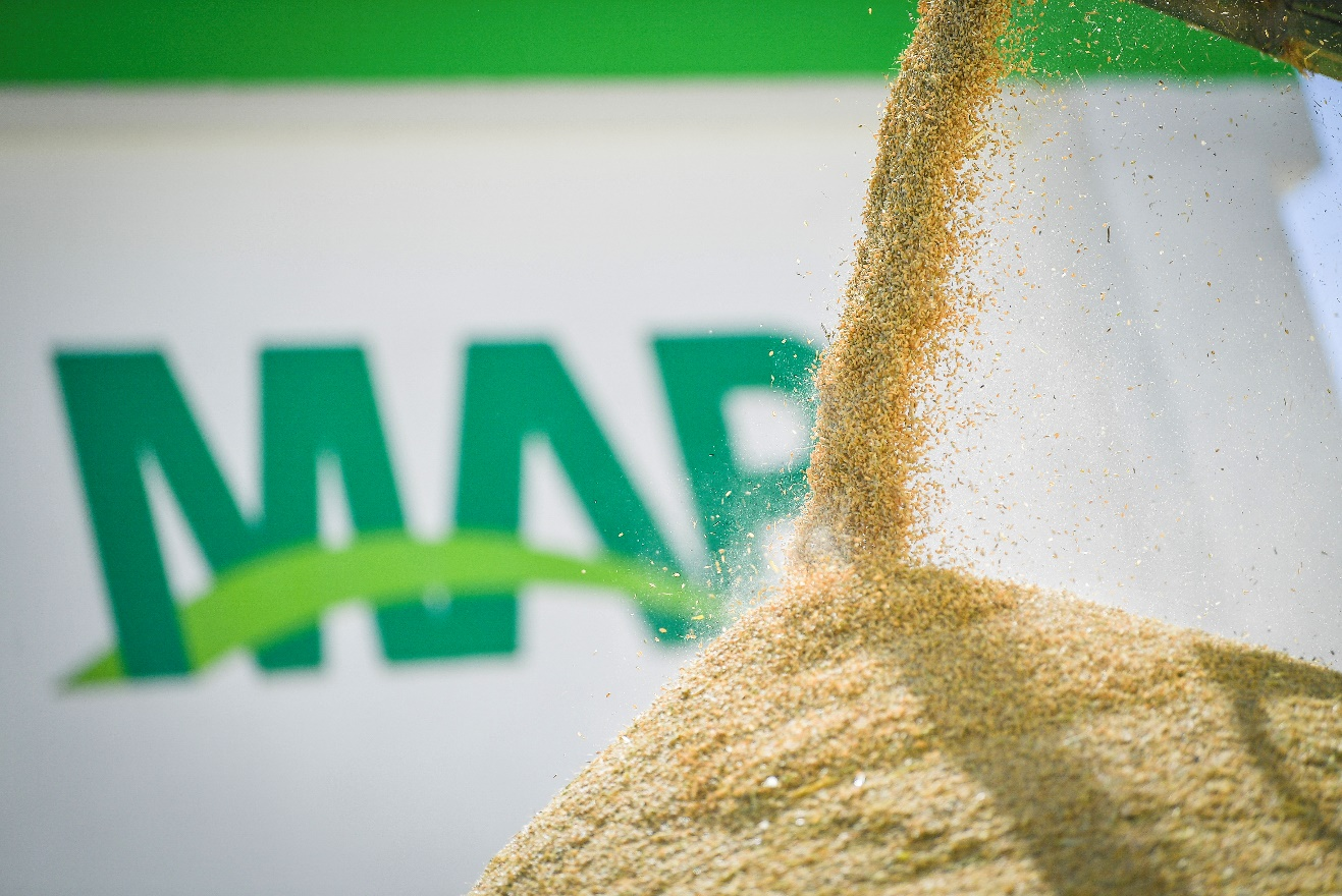 OEŷ��|�ٷ���վ