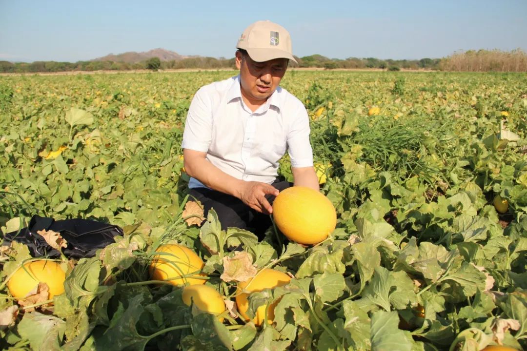 OEŷ��|�ٷ���վ