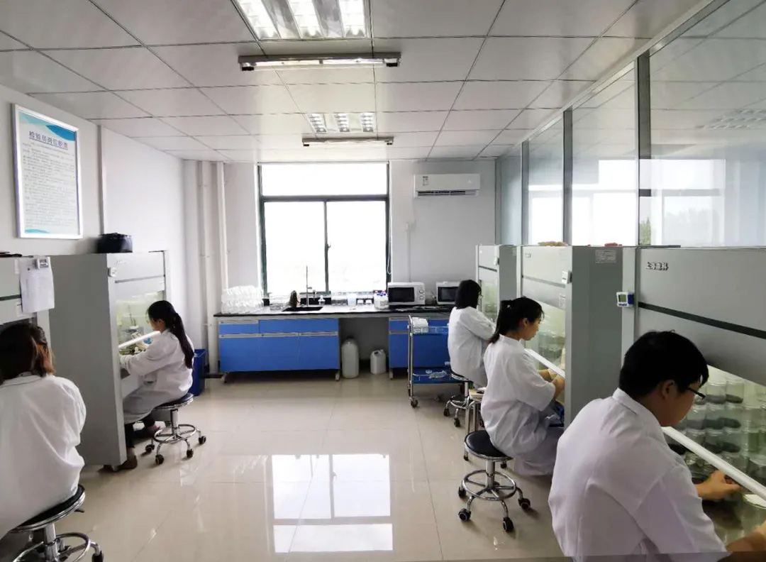 OEŷ��|�ٷ���վ