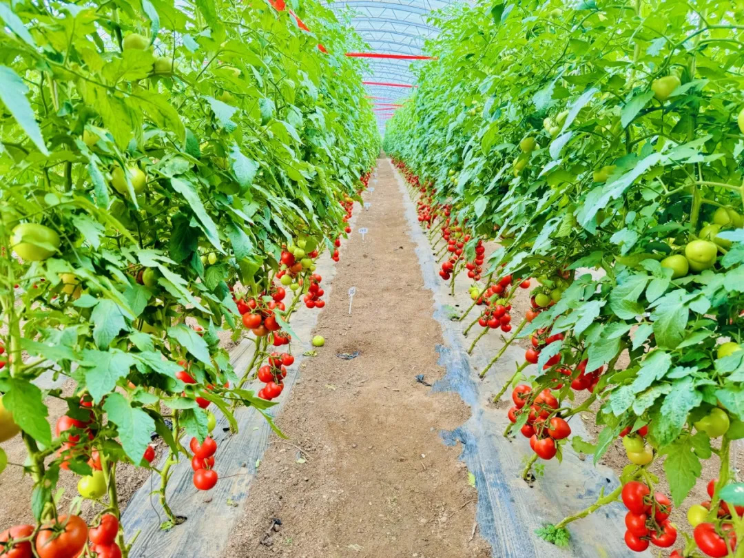 OEŷ��|�ٷ���վ