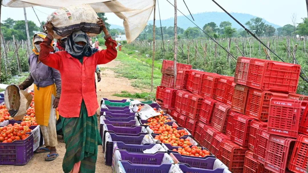 OEŷ��|�ٷ���վ