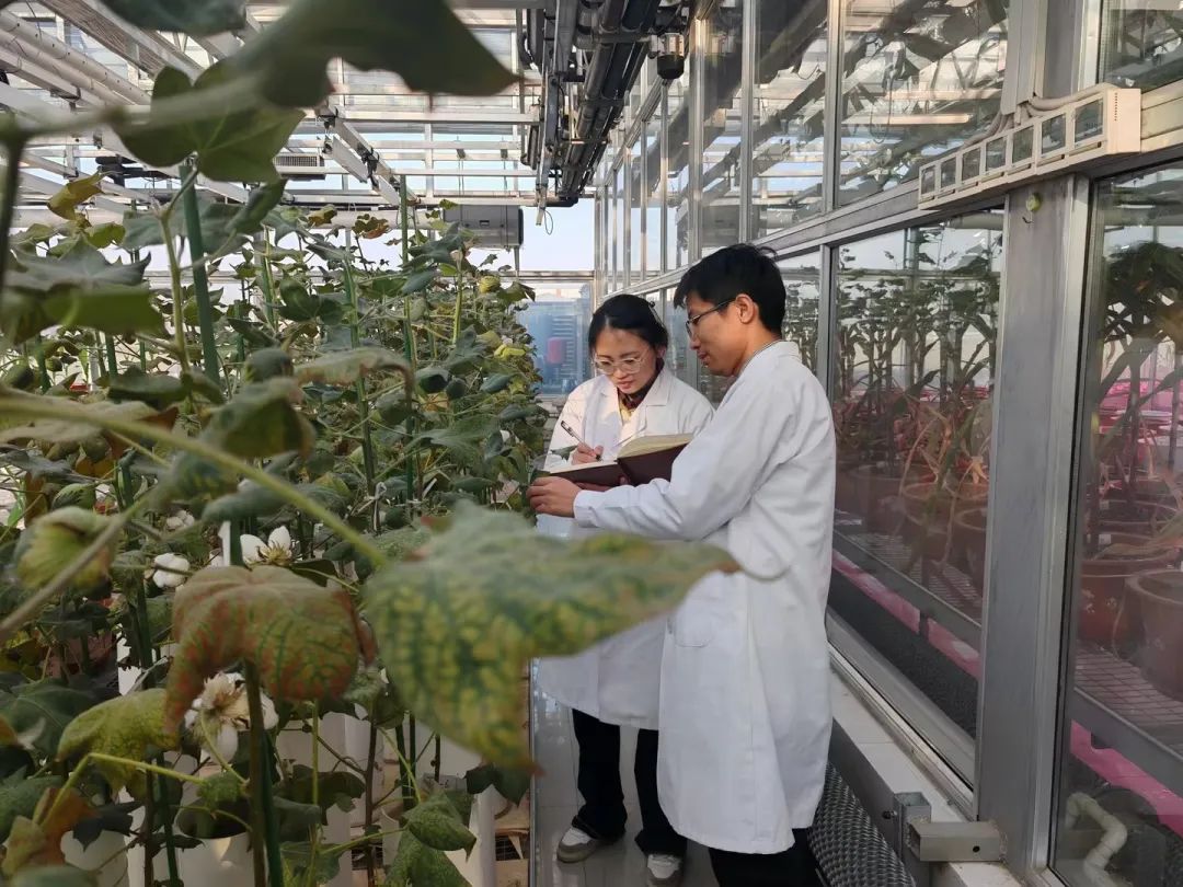 OEŷ��|�ٷ���վ