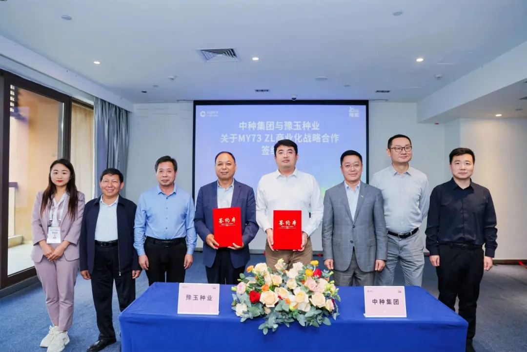 OEŷ��|�ٷ���վ