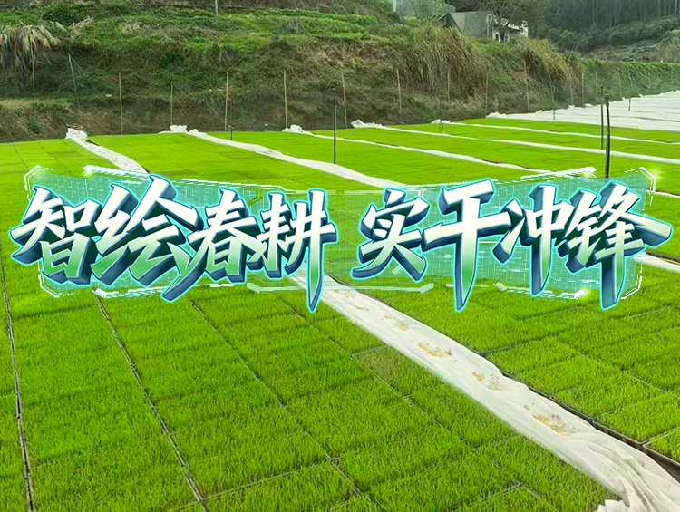 ý��۽� | ����һ��̽�¾�������������������������