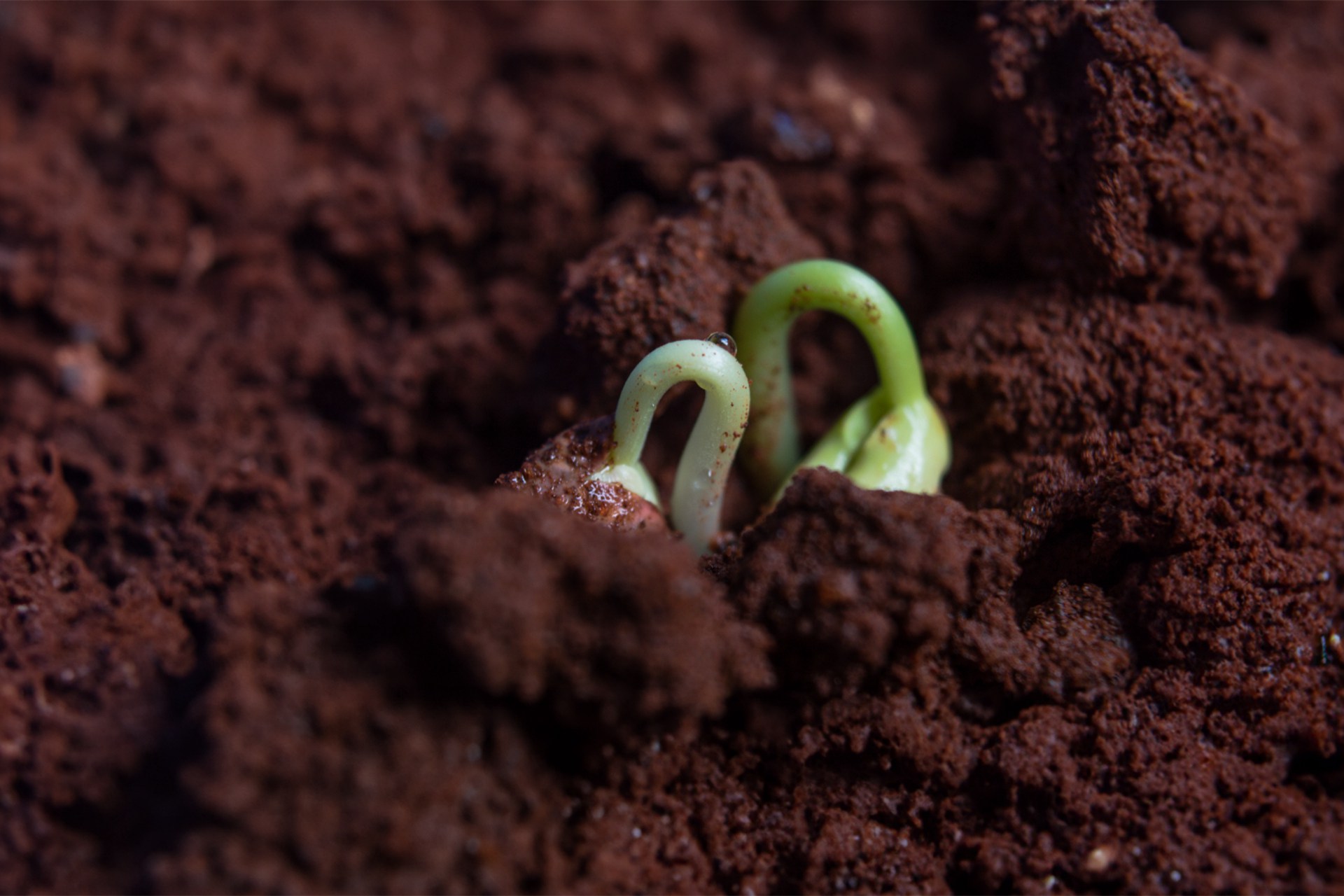 OEŷ��|�ٷ���վ